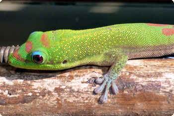 Abschalten und Energie auftanken