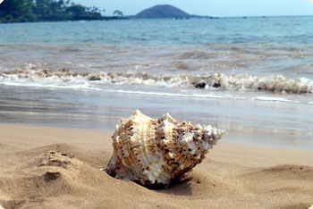 Unter anderem werden auch die Selbstheilungskräfte und das Lymphsystem angeregt, die Entgiftung gefördert
