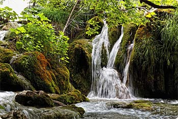 He Punawai Kahe wale ke Aloha